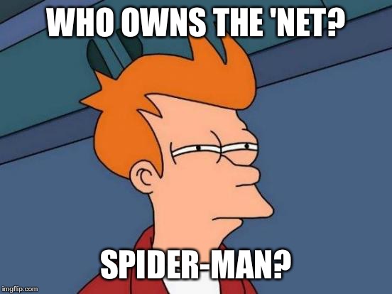 Futurama Fry Meme | WHO OWNS THE 'NET? SPIDER-MAN? | image tagged in memes,futurama fry | made w/ Imgflip meme maker
