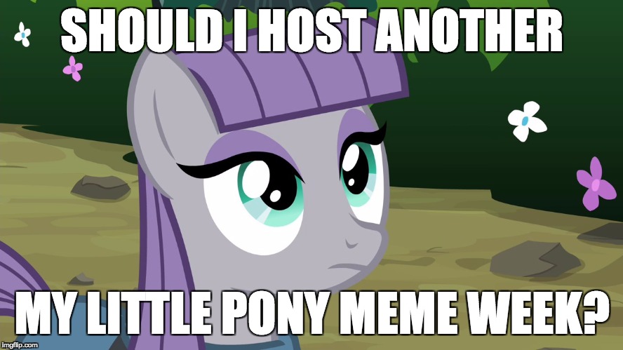 I had a lot of fun last time! | SHOULD I HOST ANOTHER; MY LITTLE PONY MEME WEEK? | image tagged in maud is interested,memes,my little pony meme week,xanderbrony | made w/ Imgflip meme maker