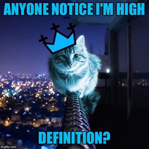RayCat Wears The Crown | ANYONE NOTICE I'M HIGH; DEFINITION? | image tagged in raycat wears the crown,memes,hd meme,high definition,raycat | made w/ Imgflip meme maker