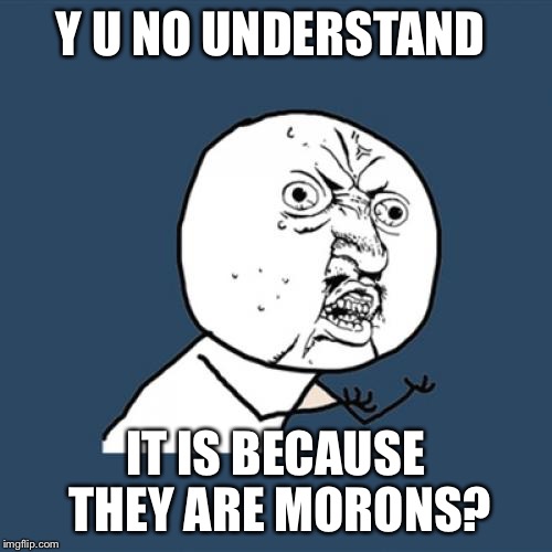 Y U No Meme | Y U NO UNDERSTAND IT IS BECAUSE THEY ARE MORONS? | image tagged in memes,y u no | made w/ Imgflip meme maker