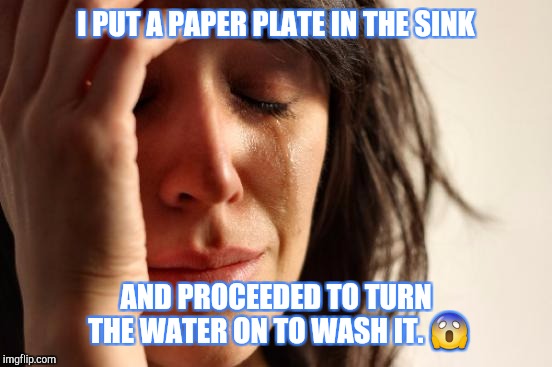 First World Problems | I PUT A PAPER PLATE IN THE SINK; AND PROCEEDED TO TURN THE WATER ON TO WASH IT. 😱 | image tagged in memes,first world problems | made w/ Imgflip meme maker