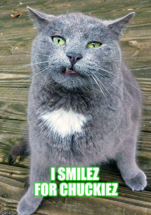 Smiley Cat | I SMILEZ FOR CHUCKIEZ | image tagged in smiley cat | made w/ Imgflip meme maker
