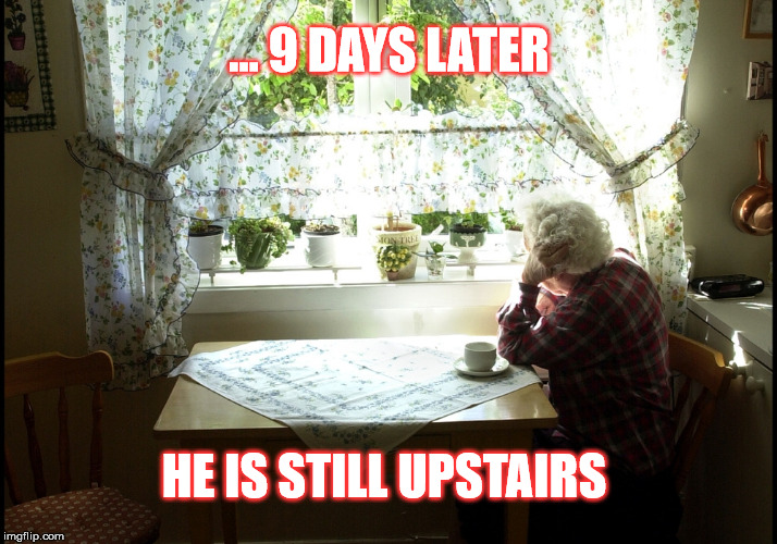 ... 9 DAYS LATER HE IS STILL UPSTAIRS | made w/ Imgflip meme maker