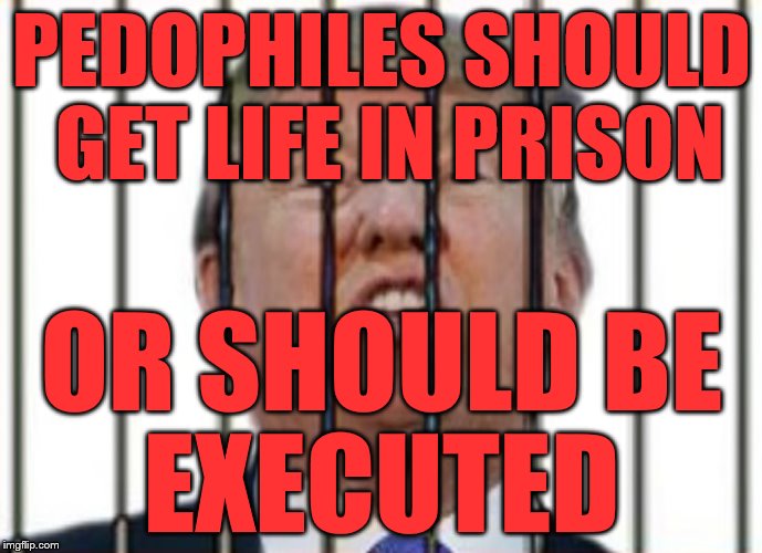 Donald Trump For Prison | PEDOPHILES SHOULD GET LIFE IN PRISON; OR SHOULD BE
      EXECUTED | image tagged in donald trump for prison | made w/ Imgflip meme maker