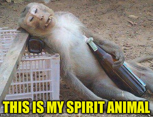 THIS IS MY SPIRIT ANIMAL | made w/ Imgflip meme maker