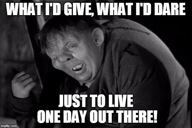 Quasimodo | WHAT I'D GIVE, WHAT I'D DARE; JUST TO LIVE ONE DAY OUT THERE! | image tagged in quasimodo | made w/ Imgflip meme maker