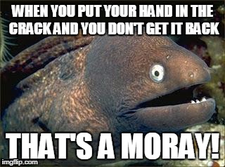 Eel Crack | WHEN YOU PUT YOUR HAND IN THE CRACK AND YOU DON'T GET IT BACK; THAT'S A MORAY! | image tagged in bad joke eel | made w/ Imgflip meme maker