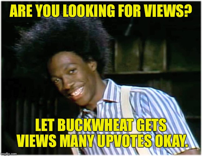 Wook No Fuwther.  | ARE YOU LOOKING FOR VIEWS? LET BUCKWHEAT GETS VIEWS MANY UPVOTES OKAY. | image tagged in buckwheat,wooken pa views in all da wong pwaces,we gots views up da ying yang,memes funny,ha ha very funny m f | made w/ Imgflip meme maker