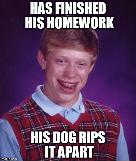 Bad Luck Brian | HAS FINISHED HIS HOMEWORK; HIS DOG RIPS IT APART | image tagged in memes,bad luck brian | made w/ Imgflip meme maker