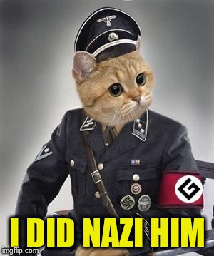 I DID NAZI HIM | made w/ Imgflip meme maker