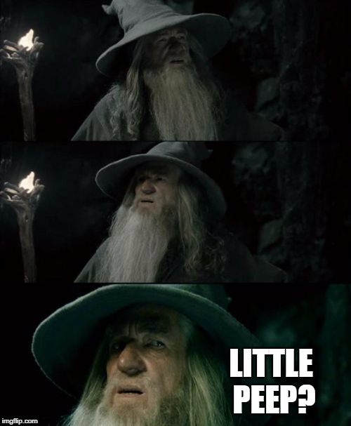 Confused Gandalf Meme | LITTLE PEEP? | image tagged in memes,confused gandalf,AdviceAnimals | made w/ Imgflip meme maker