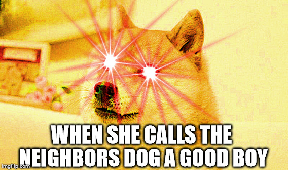 Heck | WHEN SHE CALLS THE NEIGHBORS DOG A GOOD BOY | image tagged in doge,memes | made w/ Imgflip meme maker