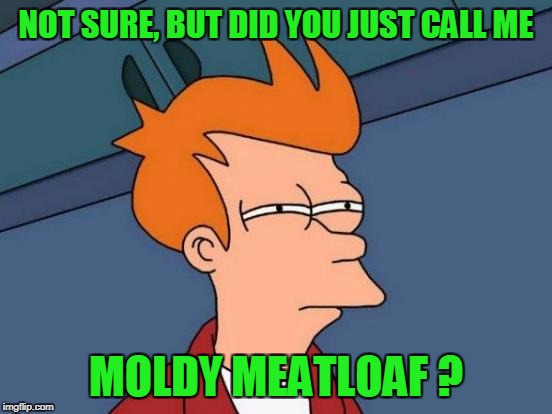 Futurama Fry Meme | NOT SURE, BUT DID YOU JUST CALL ME MOLDY MEATLOAF ? | image tagged in memes,futurama fry | made w/ Imgflip meme maker