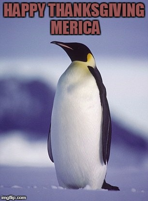 HAPPY THANKSGIVING MERICA | image tagged in proud penguin | made w/ Imgflip meme maker