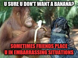 Friends | U SURE U DON'T WANT A BANANA? SOMETIMES FRIENDS PLACE U IN EMBARRASSING SITUATIONS | image tagged in friends,banana | made w/ Imgflip meme maker