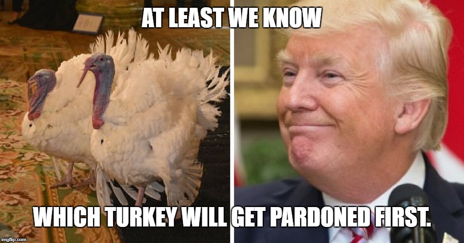 trump turkey pardon | AT LEAST WE KNOW; WHICH TURKEY WILL GET PARDONED FIRST. | image tagged in trump turkey pardon | made w/ Imgflip meme maker