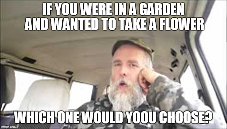 IF YOU WERE IN A GARDEN AND WANTED TO TAKE A FLOWER WHICH ONE WOULD YOOU CHOOSE? | made w/ Imgflip meme maker