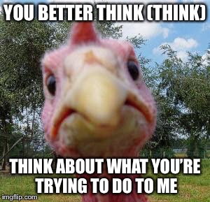 ARETHA TURKLIN | YOU BETTER THINK (THINK); THINK ABOUT WHAT YOU’RE TRYING TO DO TO ME | image tagged in thanksgiving,turkey | made w/ Imgflip meme maker