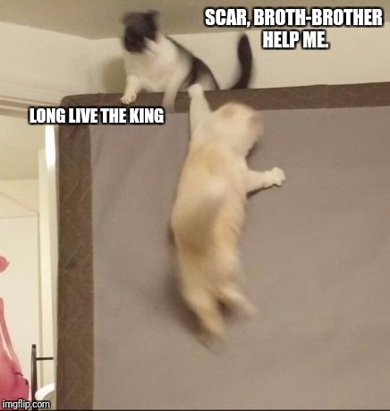 Lion King Live | SCAR, BROTH-BROTHER HELP ME. LONG LIVE THE KING | image tagged in memes,lion king | made w/ Imgflip meme maker