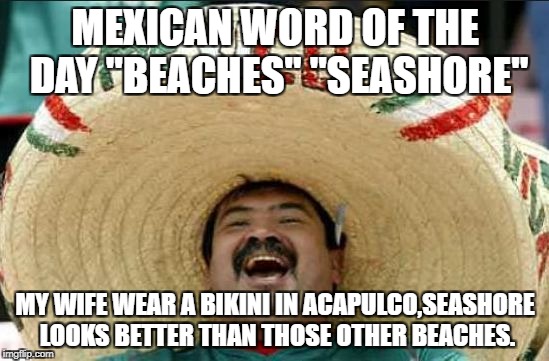mexican word of the day | MEXICAN WORD OF THE DAY "BEACHES" "SEASHORE"; MY WIFE WEAR A BIKINI IN ACAPULCO,SEASHORE LOOKS BETTER THAN THOSE OTHER BEACHES. | image tagged in mexican word of the day | made w/ Imgflip meme maker