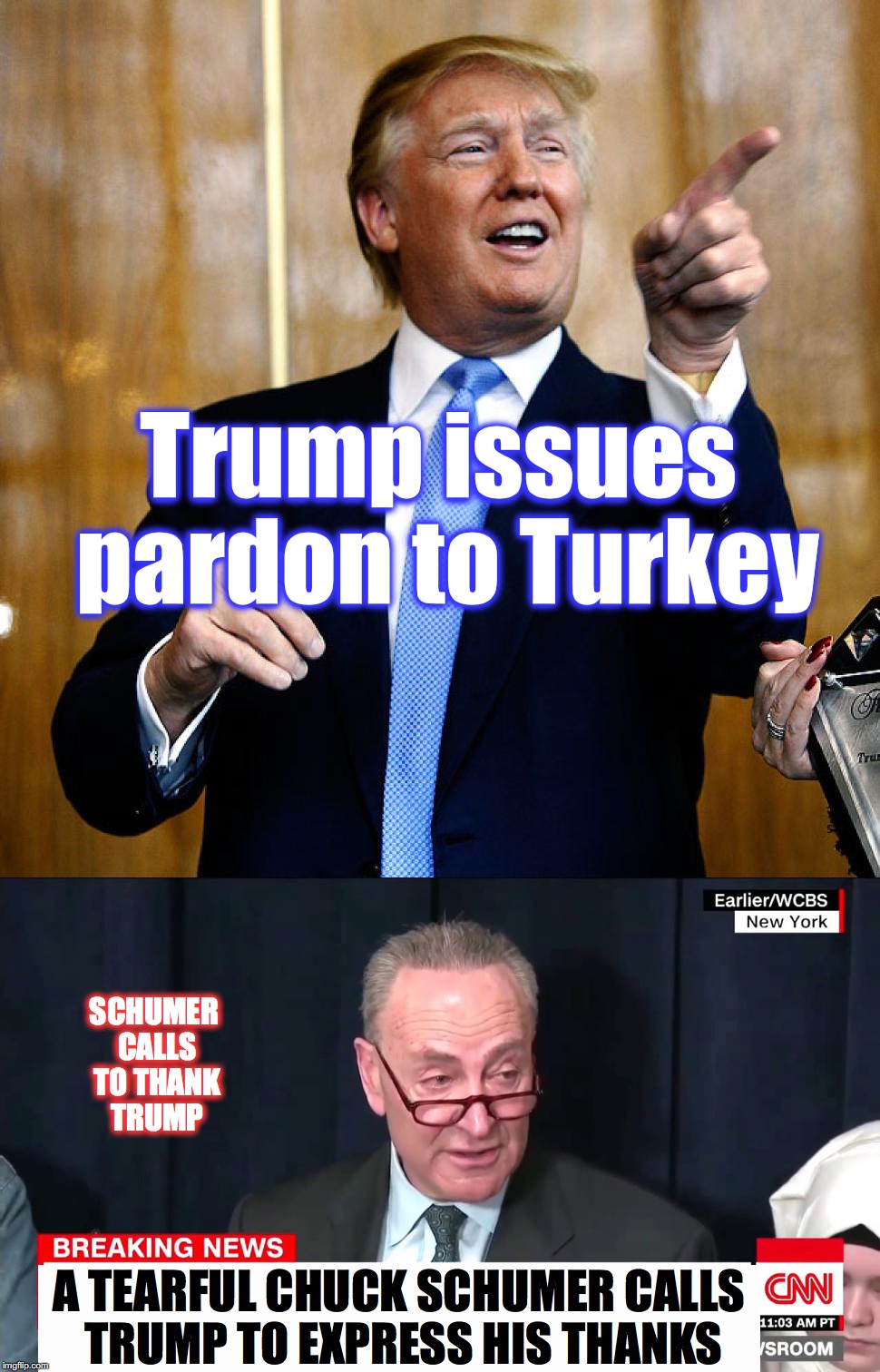 Trump issues pardon to Turkey; SCHUMER CALLS TO THANK TRUMP; A TEARFUL CHUCK SCHUMER CALLS TRUMP TO EXPRESS HIS THANKS | image tagged in turkey day,chuck schumer | made w/ Imgflip meme maker