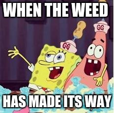 drunk spongbob | WHEN THE WEED; HAS MADE ITS WAY | image tagged in drunk spongbob | made w/ Imgflip meme maker