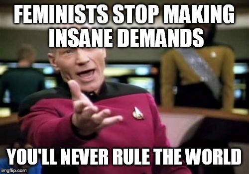 Damm those | FEMINISTS STOP MAKING INSANE DEMANDS; YOU'LL NEVER RULE THE WORLD | image tagged in memes,feminism,feminist,mens,picard wtf | made w/ Imgflip meme maker
