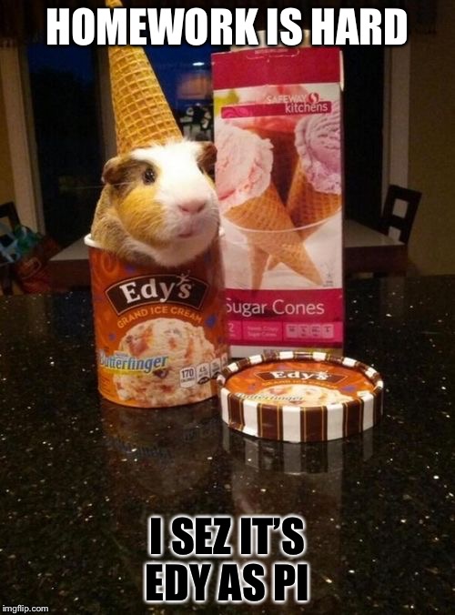 Edy pig | HOMEWORK IS HARD; I SEZ IT’S EDY AS PI | image tagged in ice cream,guinea pig | made w/ Imgflip meme maker