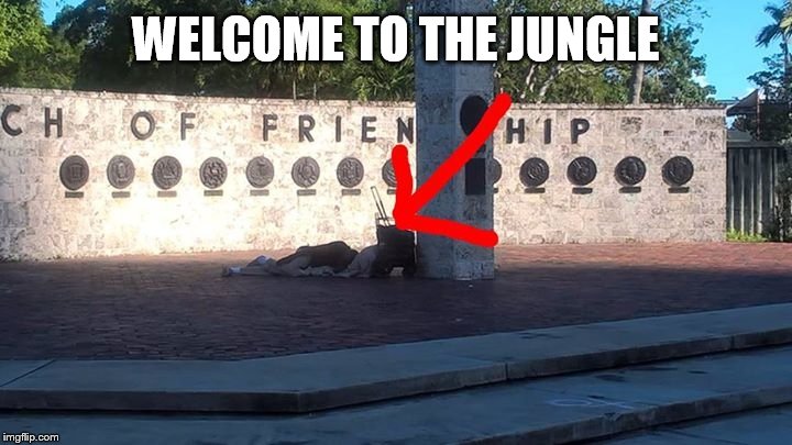 WELCOME TO THE JUNGLE | made w/ Imgflip meme maker