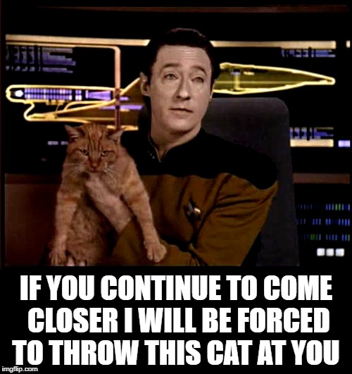 Star Trek Week! 
A coollew, Tombstone1881 & brandi_jackson event! Nov 20th to the 27th | IF YOU CONTINUE TO COME CLOSER I WILL BE FORCED TO THROW THIS CAT AT YOU | image tagged in star trek data,data,star trek week | made w/ Imgflip meme maker