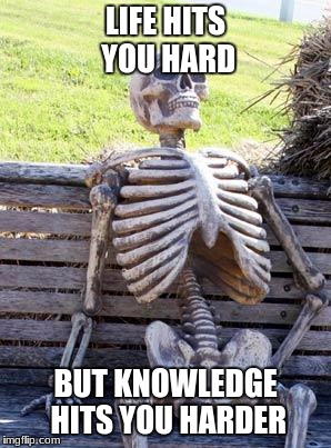 Waiting Skeleton Meme | LIFE HITS YOU HARD; BUT KNOWLEDGE HITS YOU HARDER | image tagged in memes,waiting skeleton | made w/ Imgflip meme maker