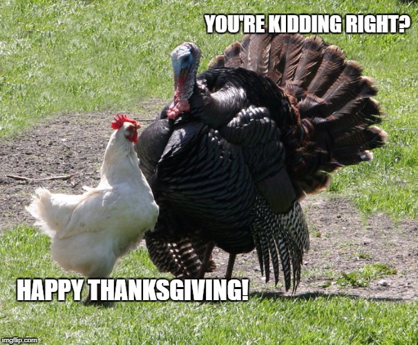 Sarcastic Thanksgiving | YOU'RE KIDDING RIGHT? HAPPY THANKSGIVING! | image tagged in thanksgiving,sarcasm,turkey,turkey day,chicken | made w/ Imgflip meme maker