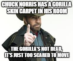 CHUCK NORRIS HAS A GORILLA SKIN CARPET IN HIS ROOM THE GORILLA'S NOT DEAD, IT'S JUST TOO SCARED TO MOVE | made w/ Imgflip meme maker