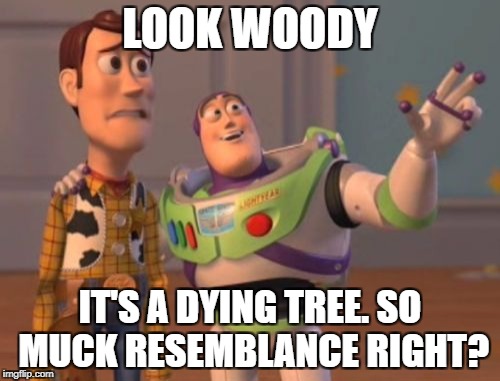 X, X Everywhere | LOOK WOODY; IT'S A DYING TREE. SO MUCK RESEMBLANCE RIGHT? | image tagged in memes,x x everywhere | made w/ Imgflip meme maker