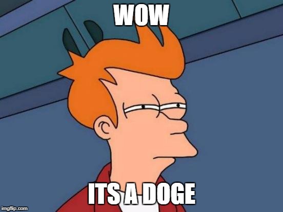 Futurama Fry Meme | WOW ITS A DOGE | image tagged in memes,futurama fry | made w/ Imgflip meme maker