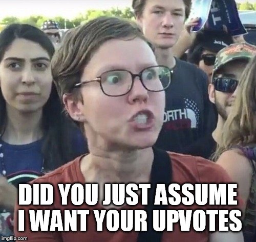 You pigs | DID YOU JUST ASSUME I WANT YOUR UPVOTES | image tagged in triggered feminist,funny | made w/ Imgflip meme maker