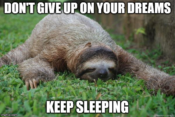 Sleeping sloth | DON'T GIVE UP ON YOUR DREAMS; KEEP SLEEPING | image tagged in sleeping sloth | made w/ Imgflip meme maker
