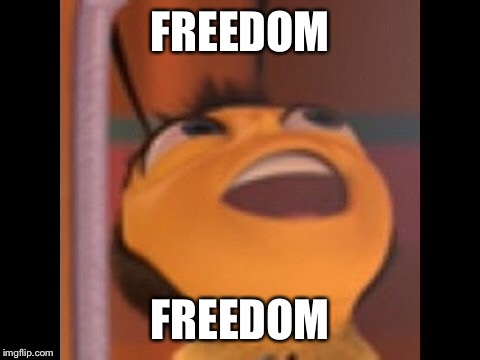 Freedom...Freedom! | FREEDOM; FREEDOM | image tagged in bee movie | made w/ Imgflip meme maker