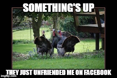 Have a wonderful holiday! | SOMETHING'S UP; THEY JUST UNFRIENDED ME ON FACEBOOK | image tagged in thanksgiving,turkeys | made w/ Imgflip meme maker