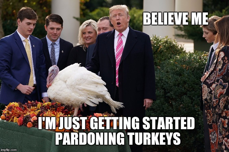 Trump Pardons Turkeys | BELIEVE ME; I'M JUST GETTING STARTED PARDONING TURKEYS | image tagged in trump pardons turkeys | made w/ Imgflip meme maker