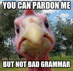 turkey | YOU CAN PARDON ME; BUT NOT BAD GRAMMAR | image tagged in turkey | made w/ Imgflip meme maker