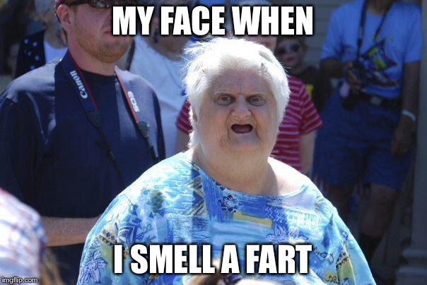 True. | MY FACE WHEN; I SMELL A FART | image tagged in wat lady,farts,true story | made w/ Imgflip meme maker