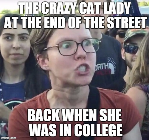 Triggered feminist | THE CRAZY CAT LADY AT THE END OF THE STREET; BACK WHEN SHE WAS IN COLLEGE | image tagged in triggered feminist | made w/ Imgflip meme maker