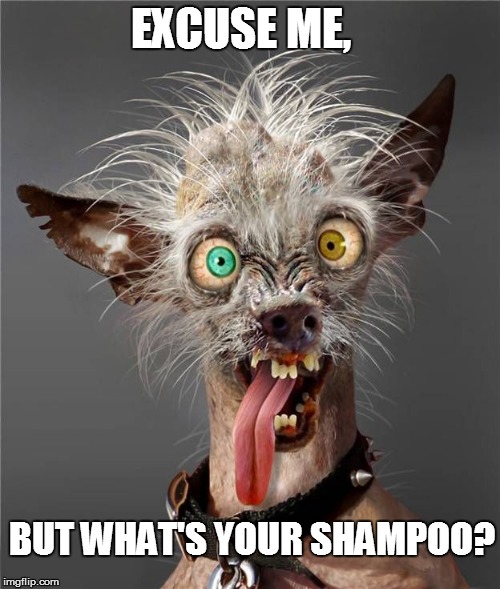 EXCUSE ME, BUT WHAT'S YOUR SHAMPOO? | made w/ Imgflip meme maker