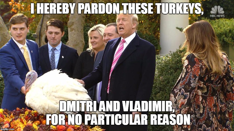 Trump pardons turkey | I HEREBY PARDON THESE TURKEYS, DMITRI AND VLADIMIR, FOR NO PARTICULAR REASON | image tagged in trump pardons turkey | made w/ Imgflip meme maker