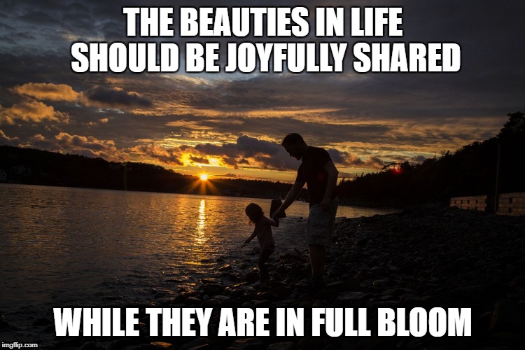 Beauties Shared | THE BEAUTIES IN LIFE SHOULD BE JOYFULLY SHARED; WHILE THEY ARE IN FULL BLOOM | image tagged in beauties life | made w/ Imgflip meme maker