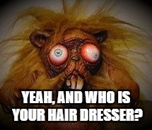 YEAH, AND WHO IS YOUR HAIR DRESSER? | made w/ Imgflip meme maker