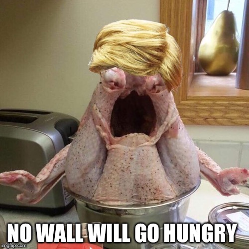 Turkey Trump | NO WALL WILL GO HUNGRY | image tagged in turkey trump | made w/ Imgflip meme maker