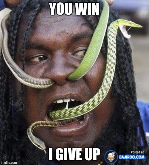 YOU WIN I GIVE UP | made w/ Imgflip meme maker