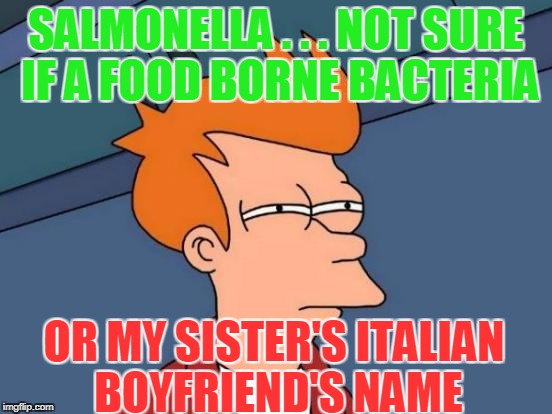Futurama Fry Meme | SALMONELLA . . . NOT SURE IF A FOOD BORNE BACTERIA OR MY SISTER'S ITALIAN BOYFRIEND'S NAME | image tagged in memes,futurama fry | made w/ Imgflip meme maker
